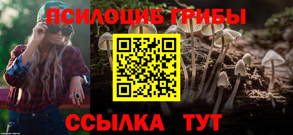 Псилоцибиновые грибы Magic Shrooms  Вход с VPN  Псилоцибиновые грибы мухоморы  Йошкар-Ола 